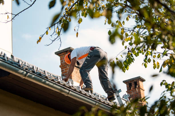 Best Chimney Flashing Repair  in Royal Kunia, HI